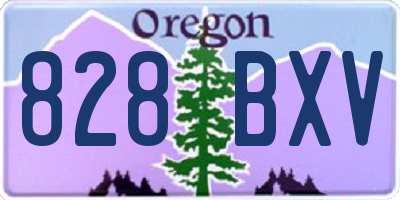OR license plate 828BXV