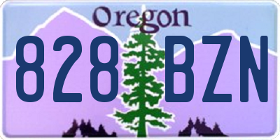 OR license plate 828BZN