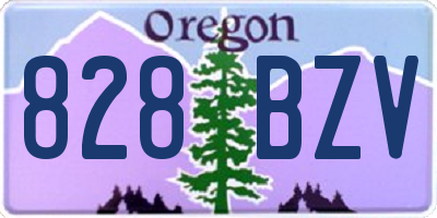 OR license plate 828BZV