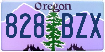 OR license plate 828BZX