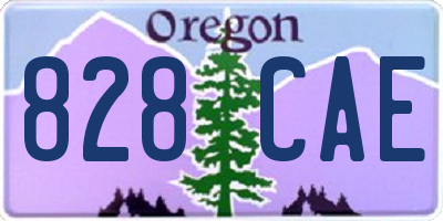 OR license plate 828CAE