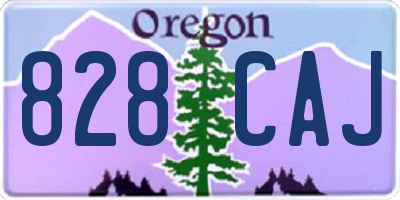 OR license plate 828CAJ