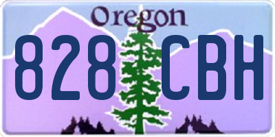 OR license plate 828CBH