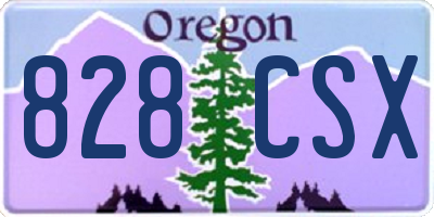 OR license plate 828CSX