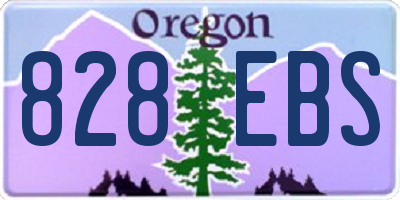 OR license plate 828EBS