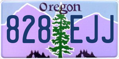 OR license plate 828EJJ