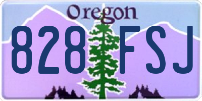 OR license plate 828FSJ