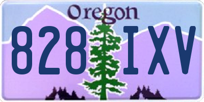 OR license plate 828IXV