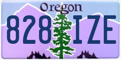 OR license plate 828IZE