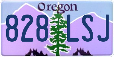 OR license plate 828LSJ