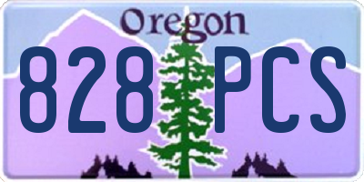 OR license plate 828PCS