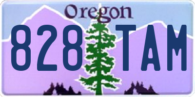 OR license plate 828TAM