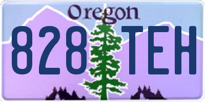 OR license plate 828TEH