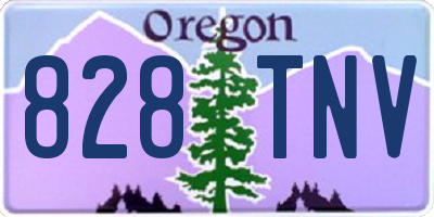 OR license plate 828TNV