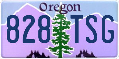 OR license plate 828TSG