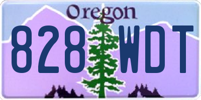 OR license plate 828WDT