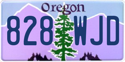 OR license plate 828WJD