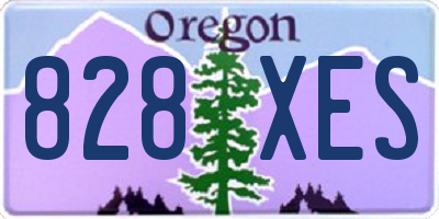 OR license plate 828XES