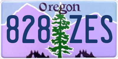 OR license plate 828ZES