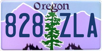 OR license plate 828ZLA