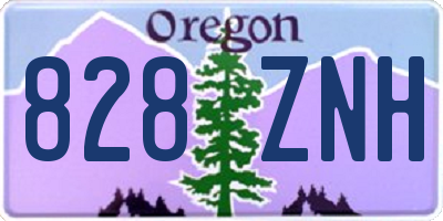 OR license plate 828ZNH