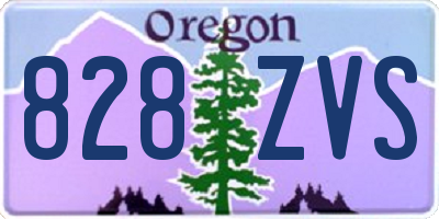 OR license plate 828ZVS