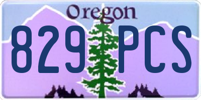 OR license plate 829PCS