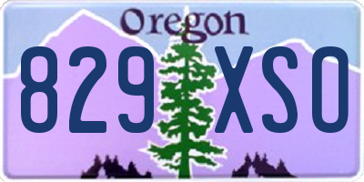 OR license plate 829XSO