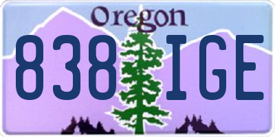 OR license plate 838IGE