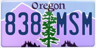 OR license plate 838MSM