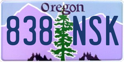 OR license plate 838NSK