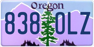 OR license plate 838OLZ
