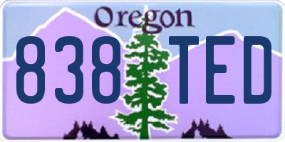 OR license plate 838TED