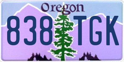 OR license plate 838TGK