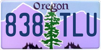 OR license plate 838TLU