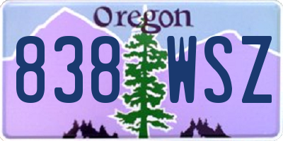 OR license plate 838WSZ
