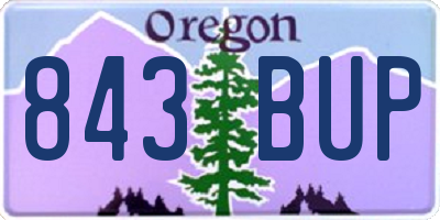OR license plate 843BUP
