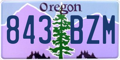 OR license plate 843BZM