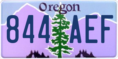 OR license plate 844AEF