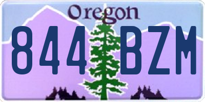 OR license plate 844BZM