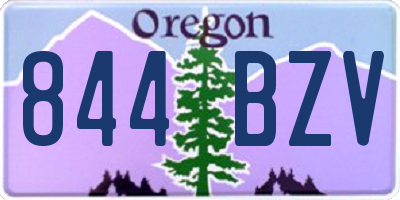 OR license plate 844BZV