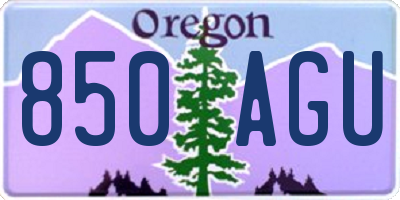 OR license plate 850AGU