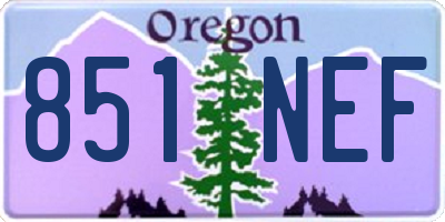 OR license plate 851NEF