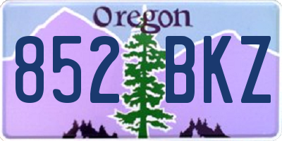 OR license plate 852BKZ