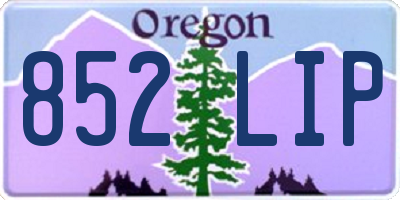 OR license plate 852LIP
