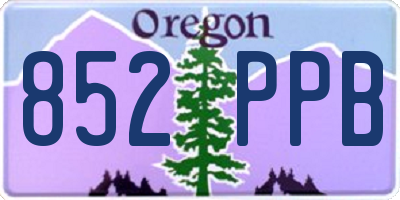 OR license plate 852PPB