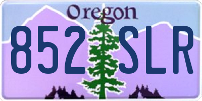 OR license plate 852SLR