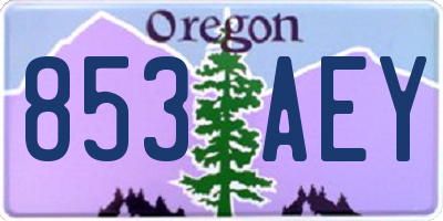 OR license plate 853AEY