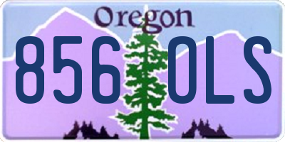 OR license plate 856OLS