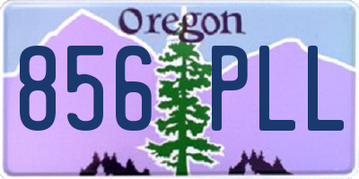 OR license plate 856PLL